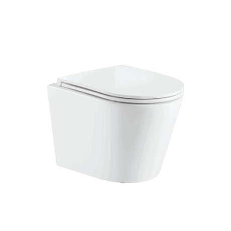 Gio Evora rimless wall hung pan,  S/C seat & quick release hinges