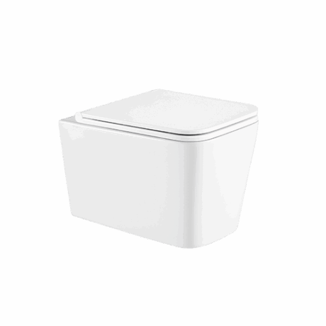 Gio Sintra rimless wall hung pan, S/C seat & quick release hinges