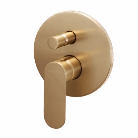 Concealed Diverter Trim Kit | Satin Brass