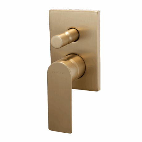 Concealed Diverter Trim Kit | Silk Brass