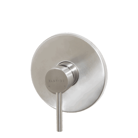 Concealed Mixer Tap | Moon Brushed Stainless Steel