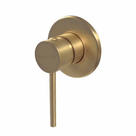 Concealed Mixer Tap | Neo Brushed Brass