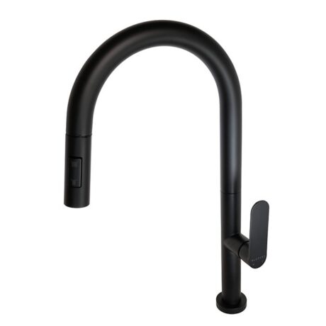 Spray Sink Mixer Tap | Satin Black