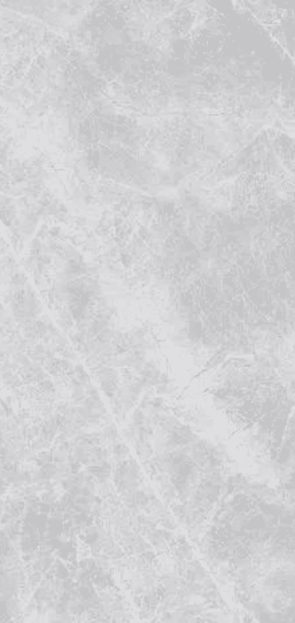 Monaco grey 600x1200mm