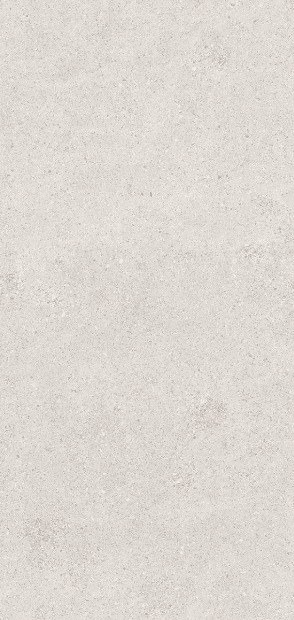 Shell Grey 600x1200mm